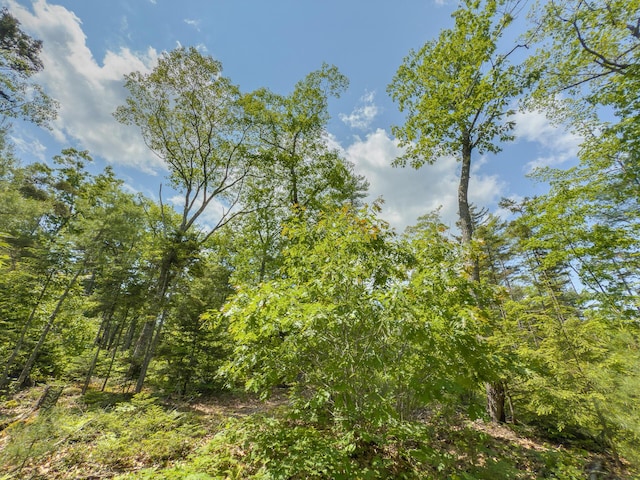 0 Sodom Rd, Bristol, ME 04539