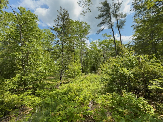 0 Sodom Rd, Bristol, ME 04539
