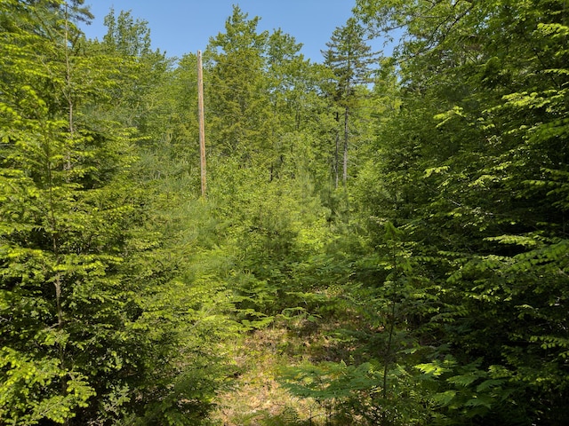 0 Sodom Rd, Bristol, ME 04539