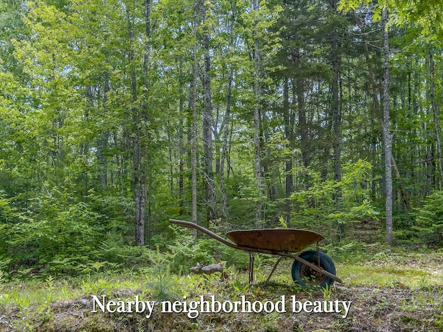 0 Sodom Rd, Bristol, ME 04539