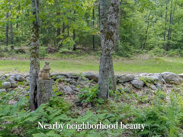 0 Sodom Rd, Bristol, ME 04539