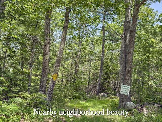 0 Sodom Rd, Bristol, ME 04539