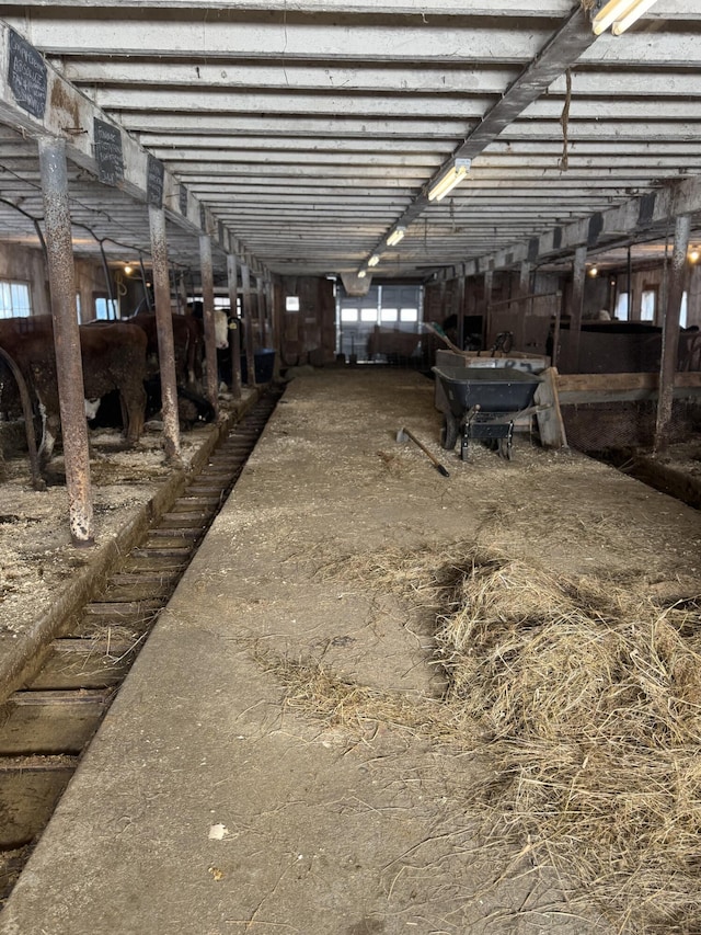 view of horse barn