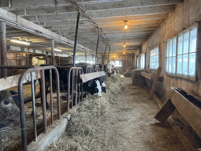 view of horse barn