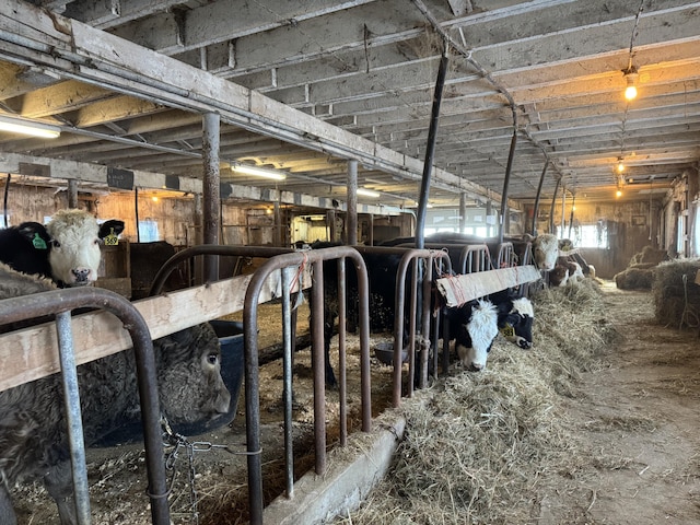 view of horse barn