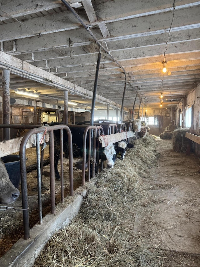 view of horse barn