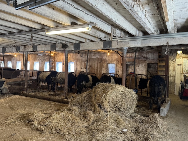 view of horse barn