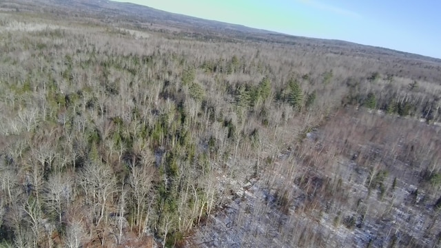 aerial view featuring a mountain view