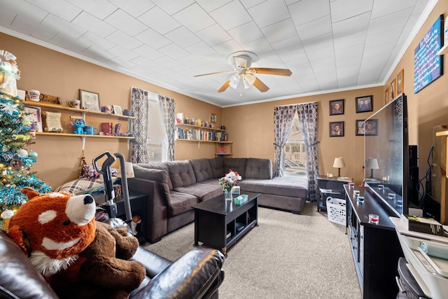 carpeted living room with ceiling fan and crown molding