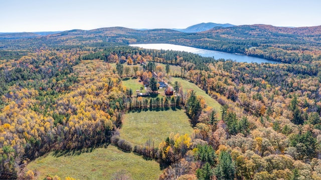 drone / aerial view featuring a water and mountain view