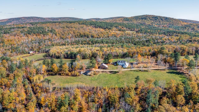 aerial view featuring a mountain view