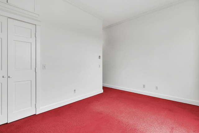 empty room featuring carpet and ornamental molding