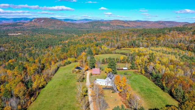 drone / aerial view featuring a mountain view