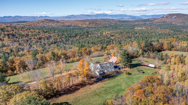 bird's eye view with a mountain view