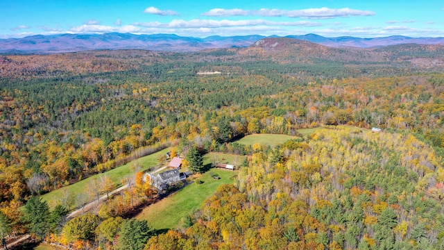 birds eye view of property featuring a mountain view