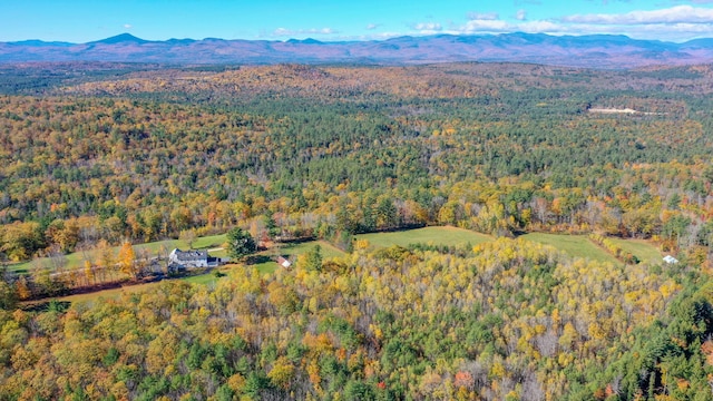 drone / aerial view with a mountain view