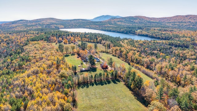 bird's eye view with a water and mountain view