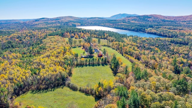 drone / aerial view featuring a water and mountain view