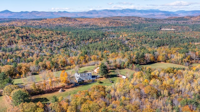 drone / aerial view featuring a mountain view