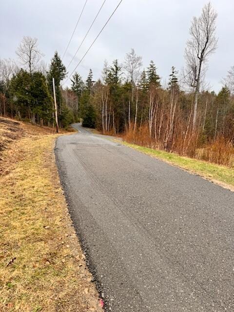 433 Works Rd, Jackson, ME 04921 - view of street