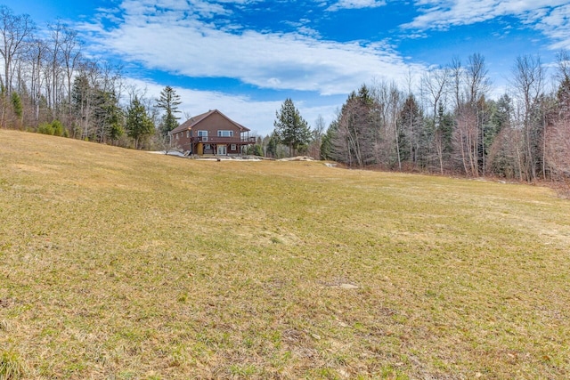 433 Works Rd, Jackson, ME 04921 - view of yard
