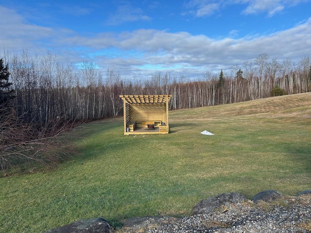 433 Works Rd, Jackson, ME 04921 - view of yard