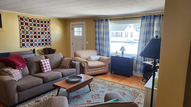 living area featuring ornamental molding, a textured ceiling, and wood finished floors