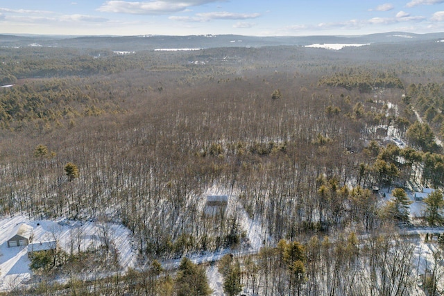 bird's eye view with a mountain view