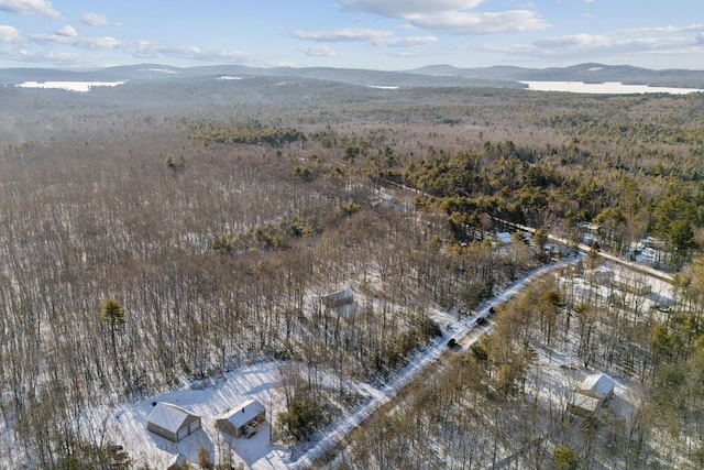 drone / aerial view with a mountain view