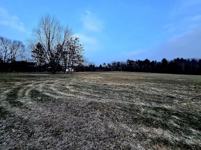 view of yard featuring a rural view