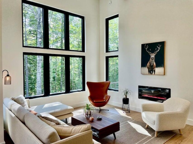 living room with a towering ceiling and light hardwood / wood-style floors