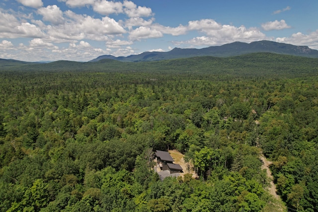 aerial view with a mountain view