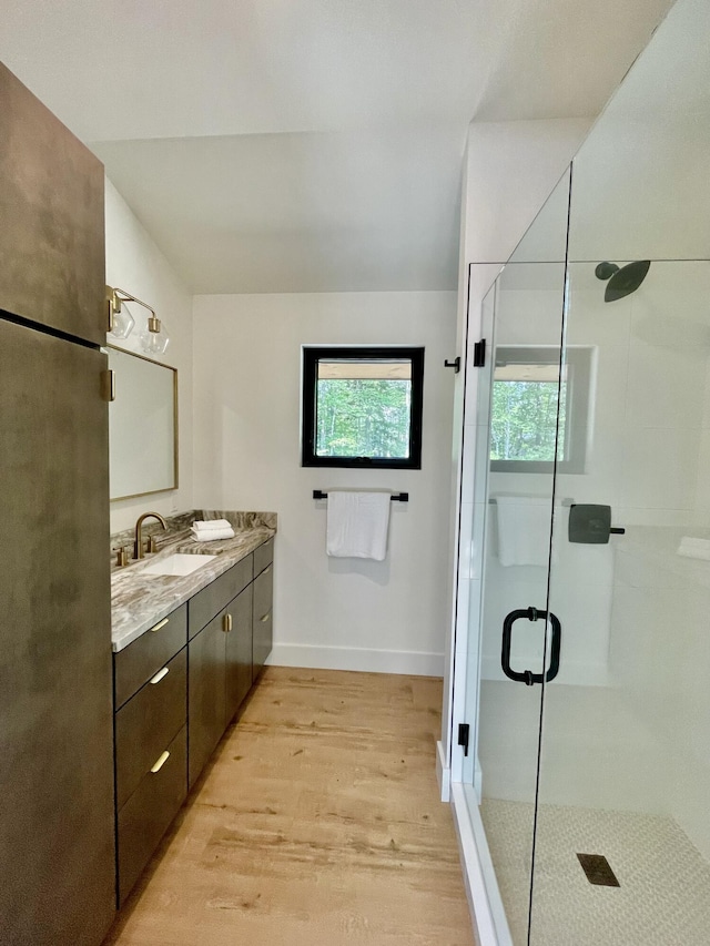 bathroom with vanity, hardwood / wood-style flooring, and a shower with door