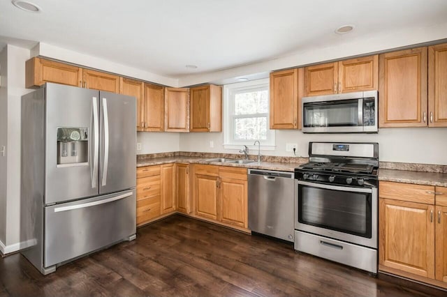 kitchen featuring sink, dark hardwood / wood-style floors, and stainless steel appliances