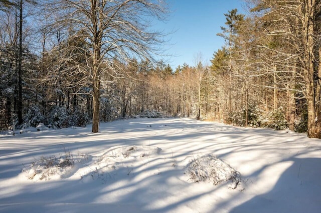 view of snowy yard