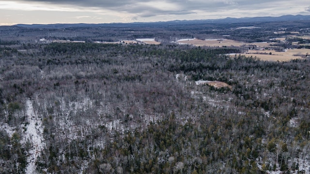 drone / aerial view featuring a mountain view