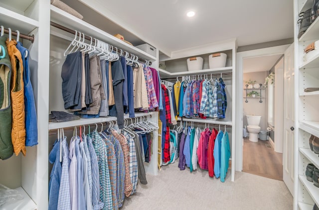 spacious closet with carpet floors