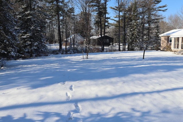 view of snowy yard