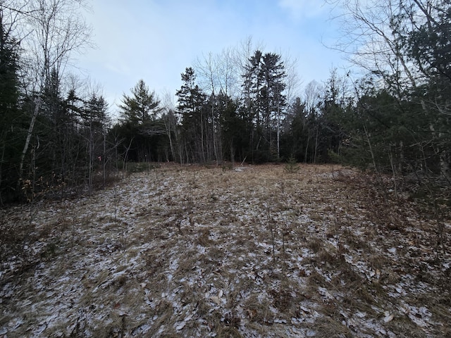 view of local wilderness