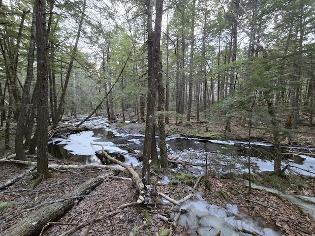 view of nature