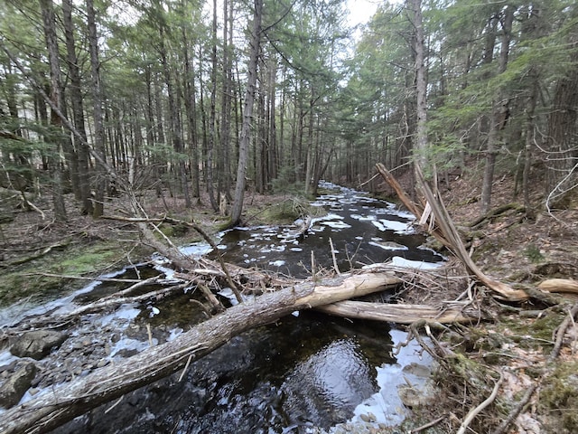 view of nature