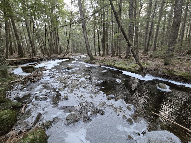 view of local wilderness