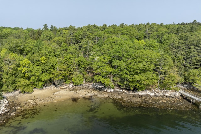 31 Viking Way, Bristol, ME 04539 - aerial view of a forest