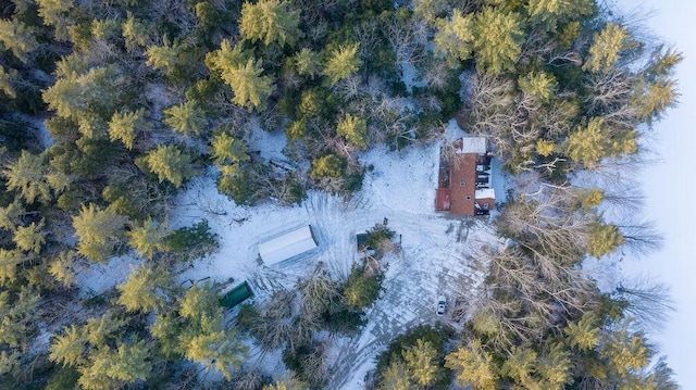 aerial view featuring a view of trees