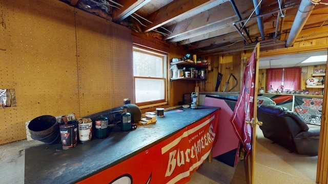 basement with wooden walls