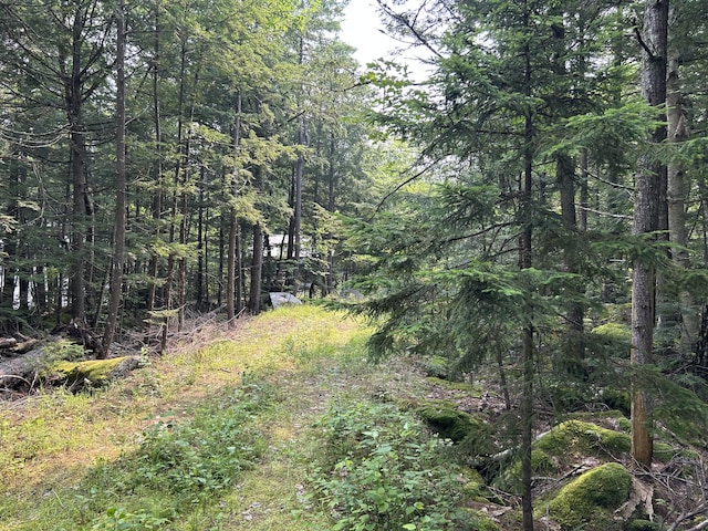 Listing photo 3 for LOT12-4 Mcnulty Ln, Rome ME 04963