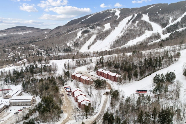 view of mountain feature