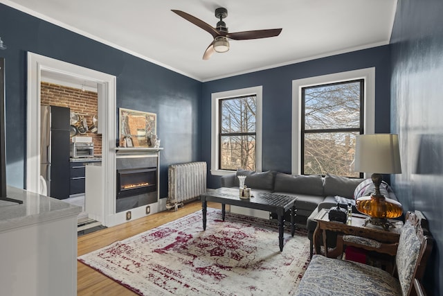 living room with ceiling fan, radiator heating unit, hardwood / wood-style floors, and ornamental molding