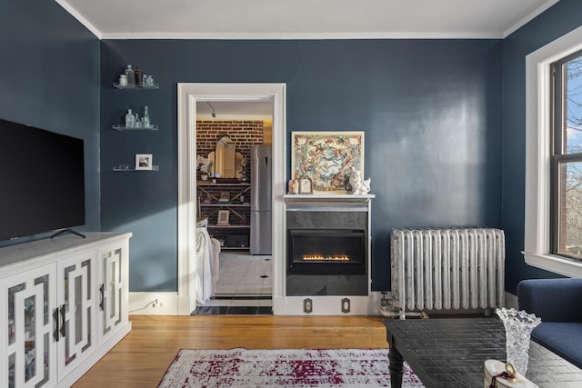 living room featuring crown molding and radiator