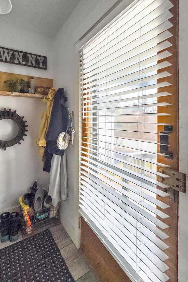 mudroom featuring a wealth of natural light